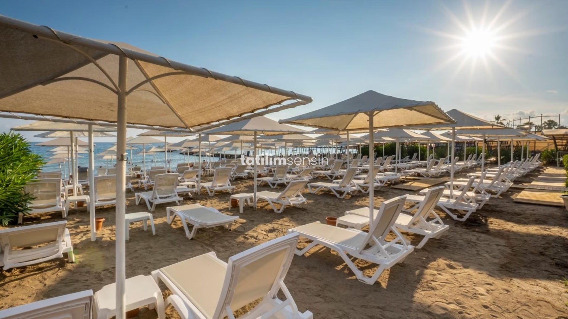 Aydınbey Gold Dreams - 6