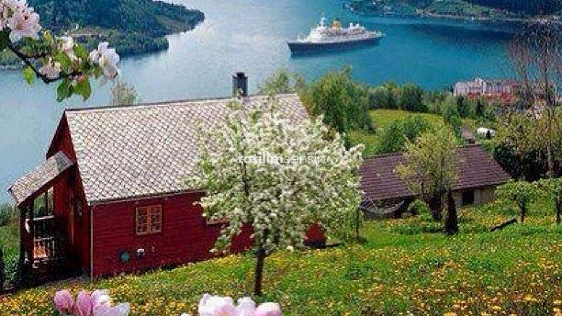 İskandinavya Norveç İstanbul Kalkışlı - 2