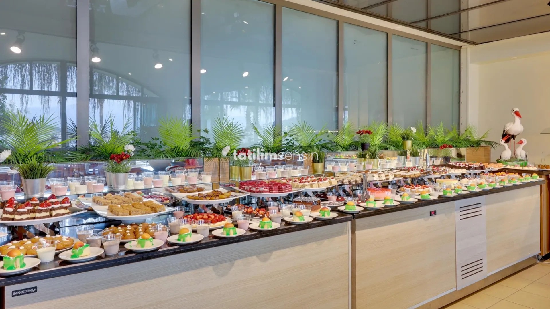 Faros Premium Beach Hotel +16 - 15