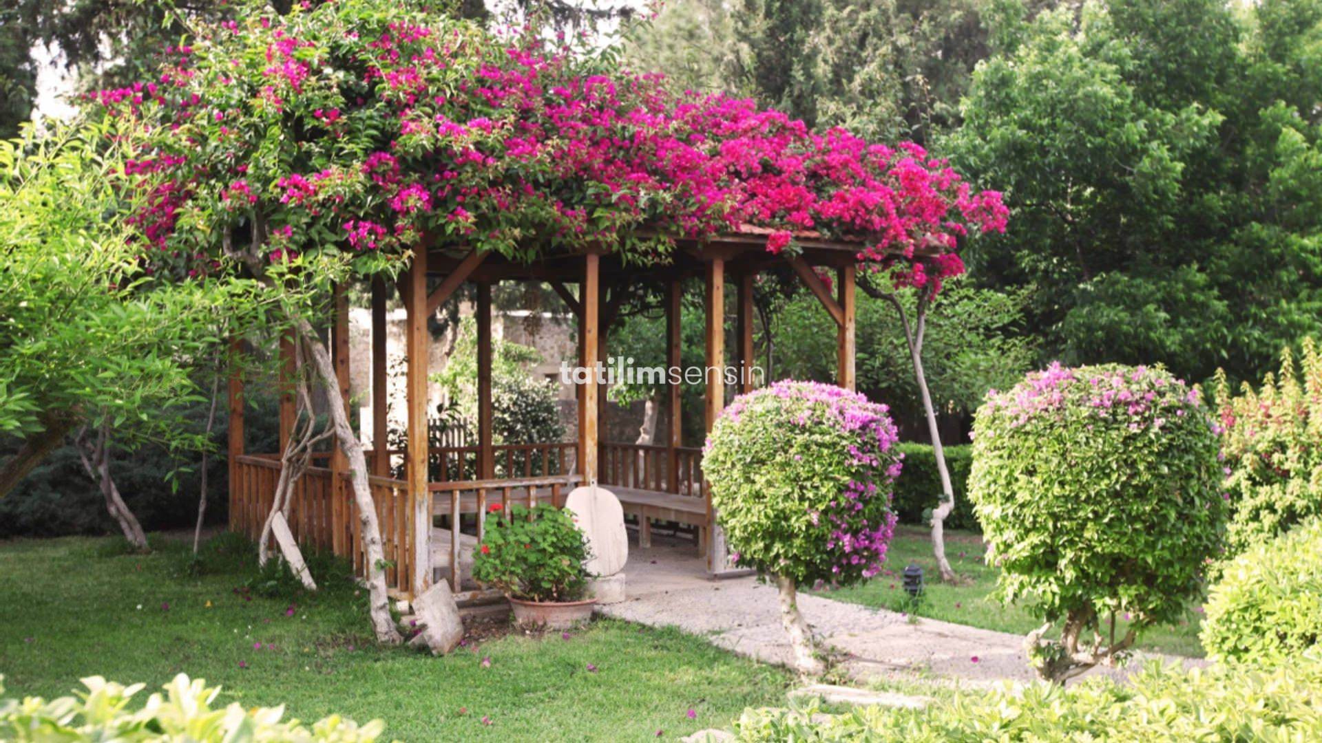 Heritage Homes Mehmet Ali Ağa Konağı - 3