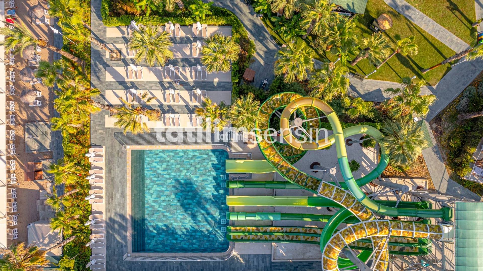 Leodikya Kirman Premium - 2