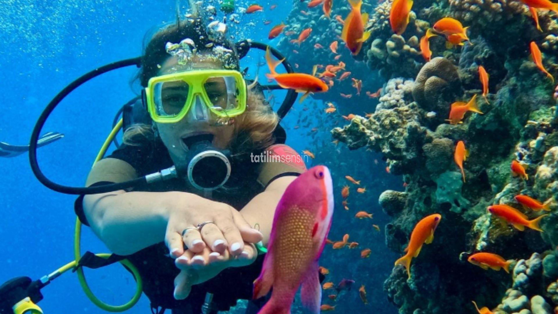 Prime Kurban Bayramı Özel Sharm El Sheikh Turu 3 Gece - 4