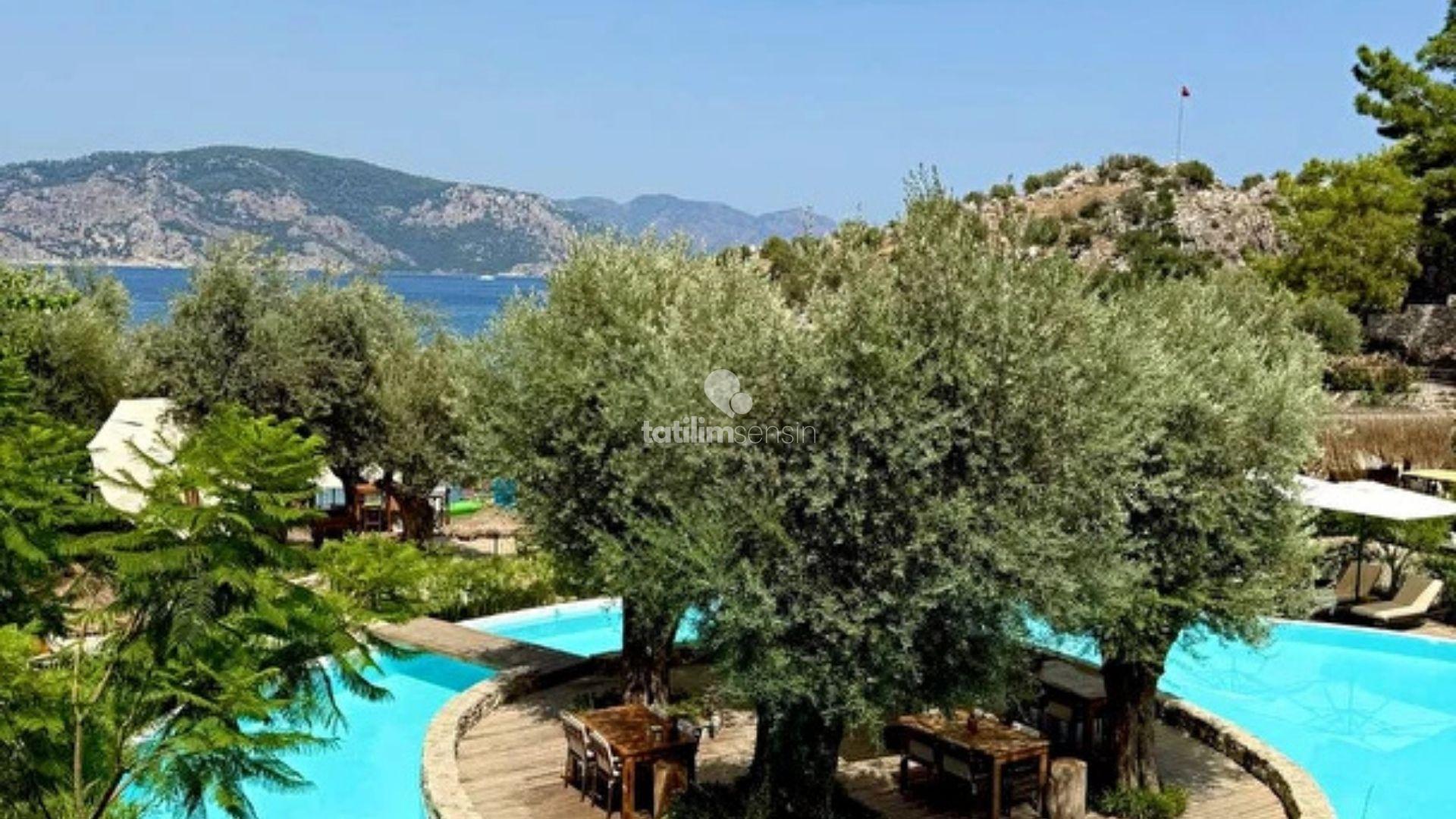 Z Villas Beach Hotel - 8