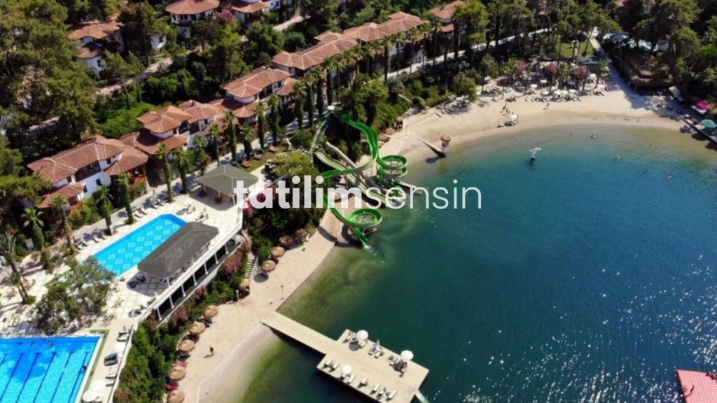Club Letoonıa - 1