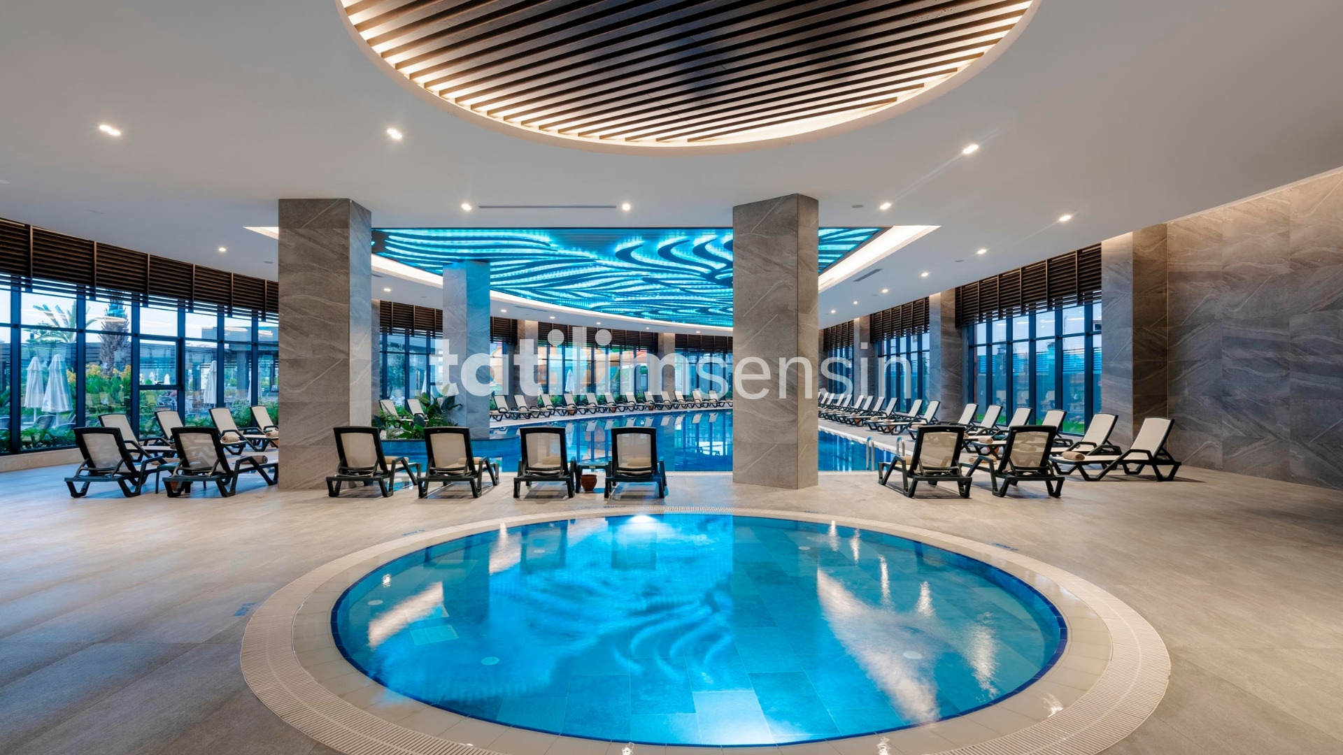 Calyptus Kirman Premium - 13