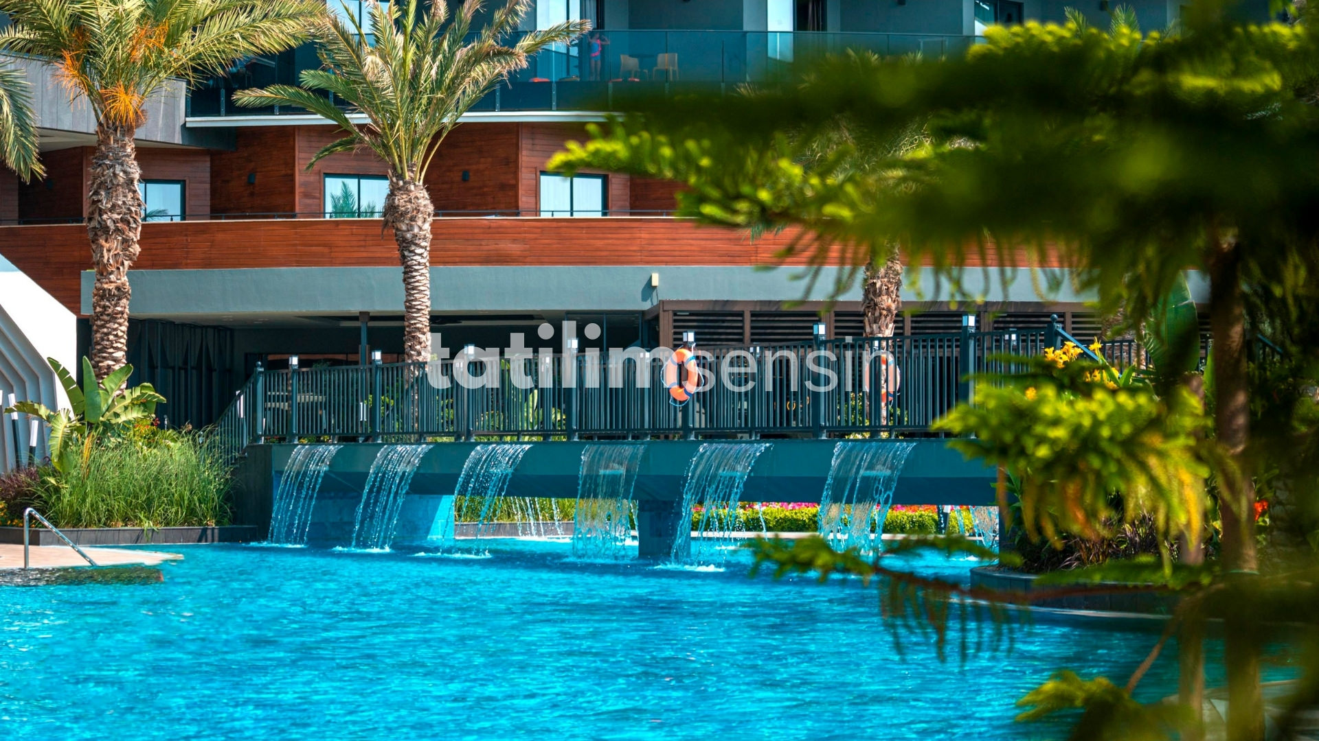 Calyptus Kirman Premium - 9