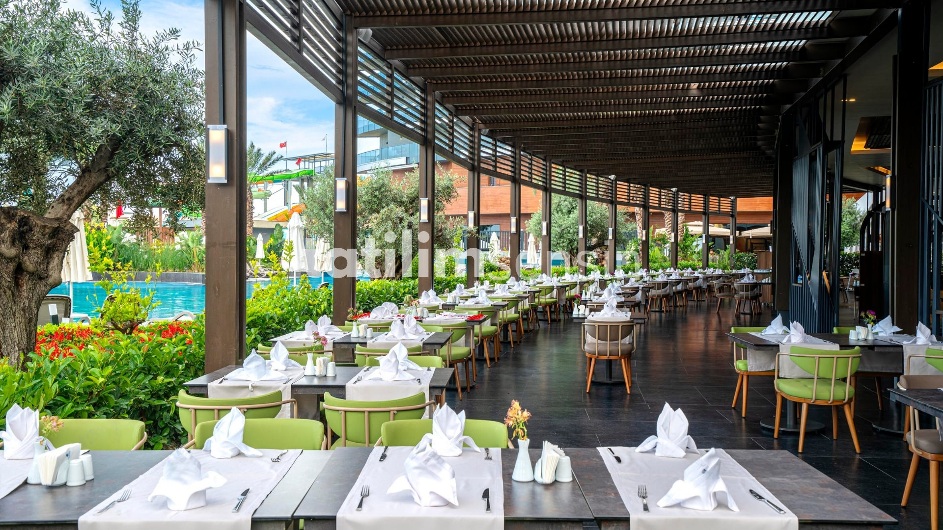 Calyptus Kirman Premium - 16