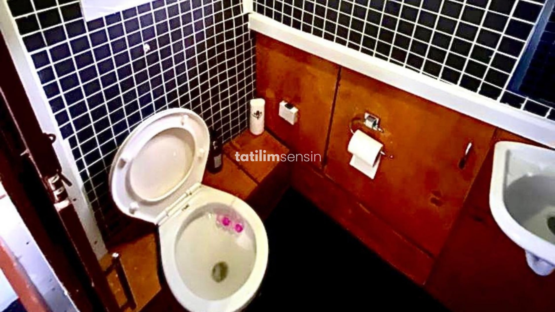 Orhaniye Günübirlik Tekne - 7