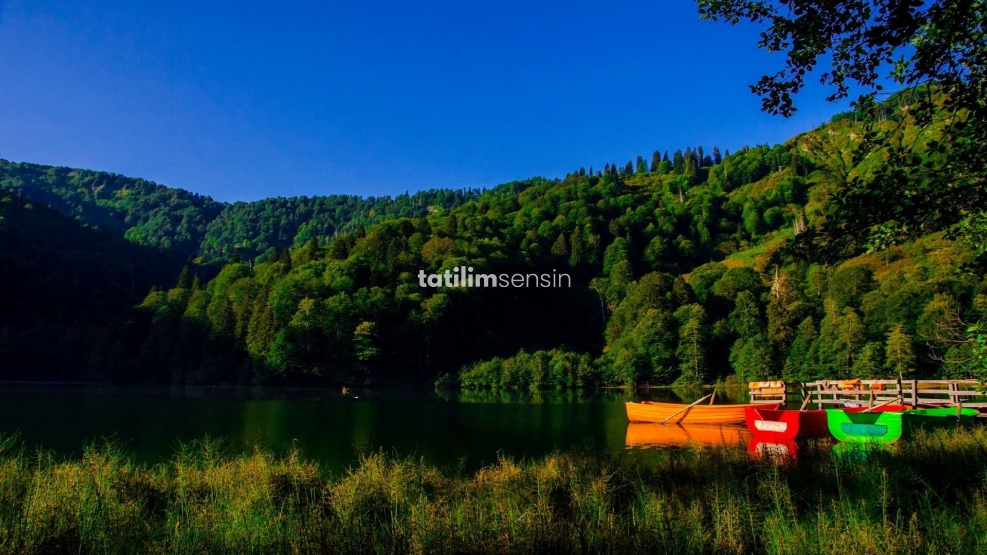 Uçaklı Karadeniz Yaylalar Ve Batum Turu (İstanbul Hareketli) - 5