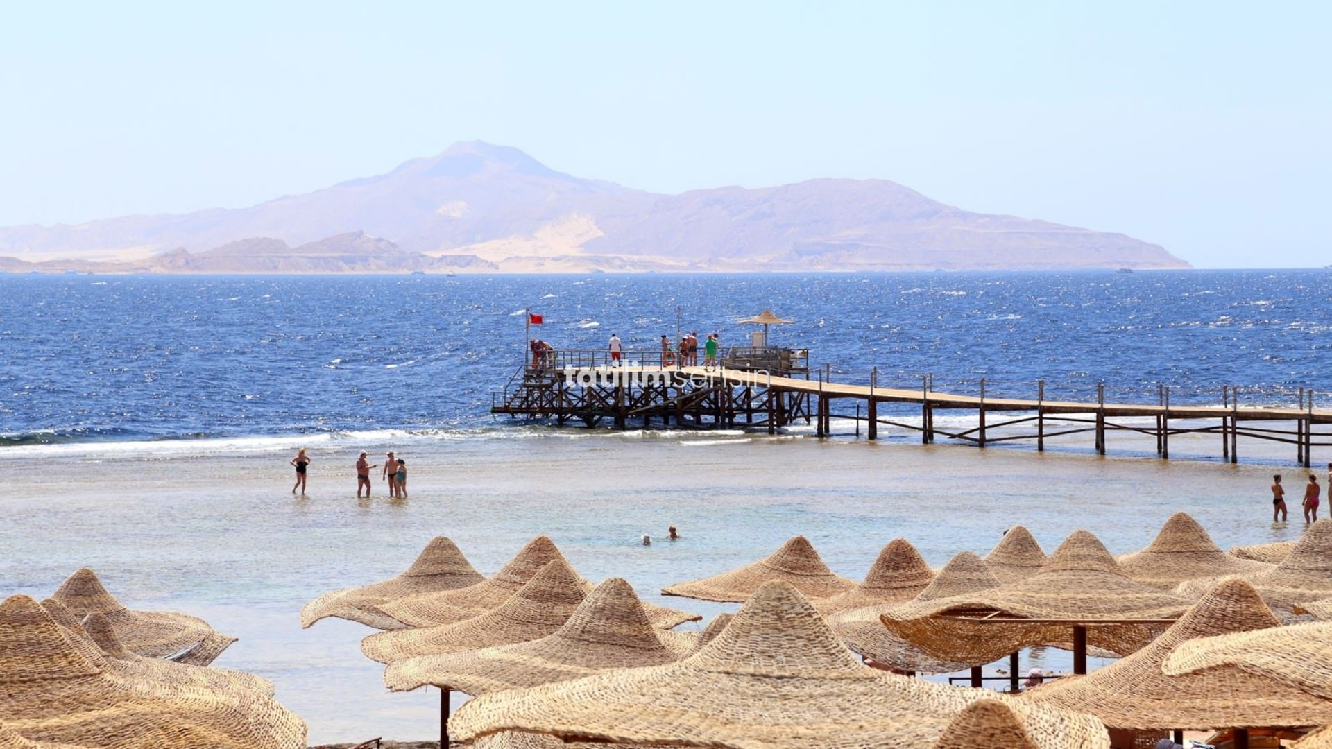 Rehana Sharm Resort Aqua - 11