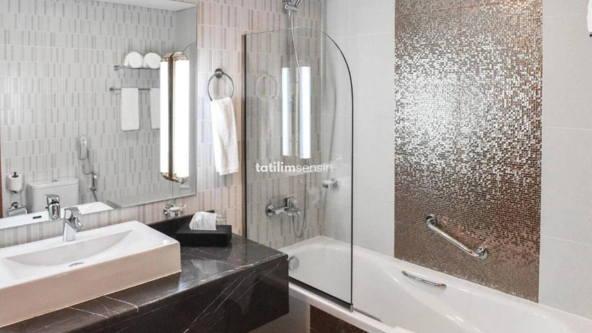 Excelsıor Downtown Hotel - 12