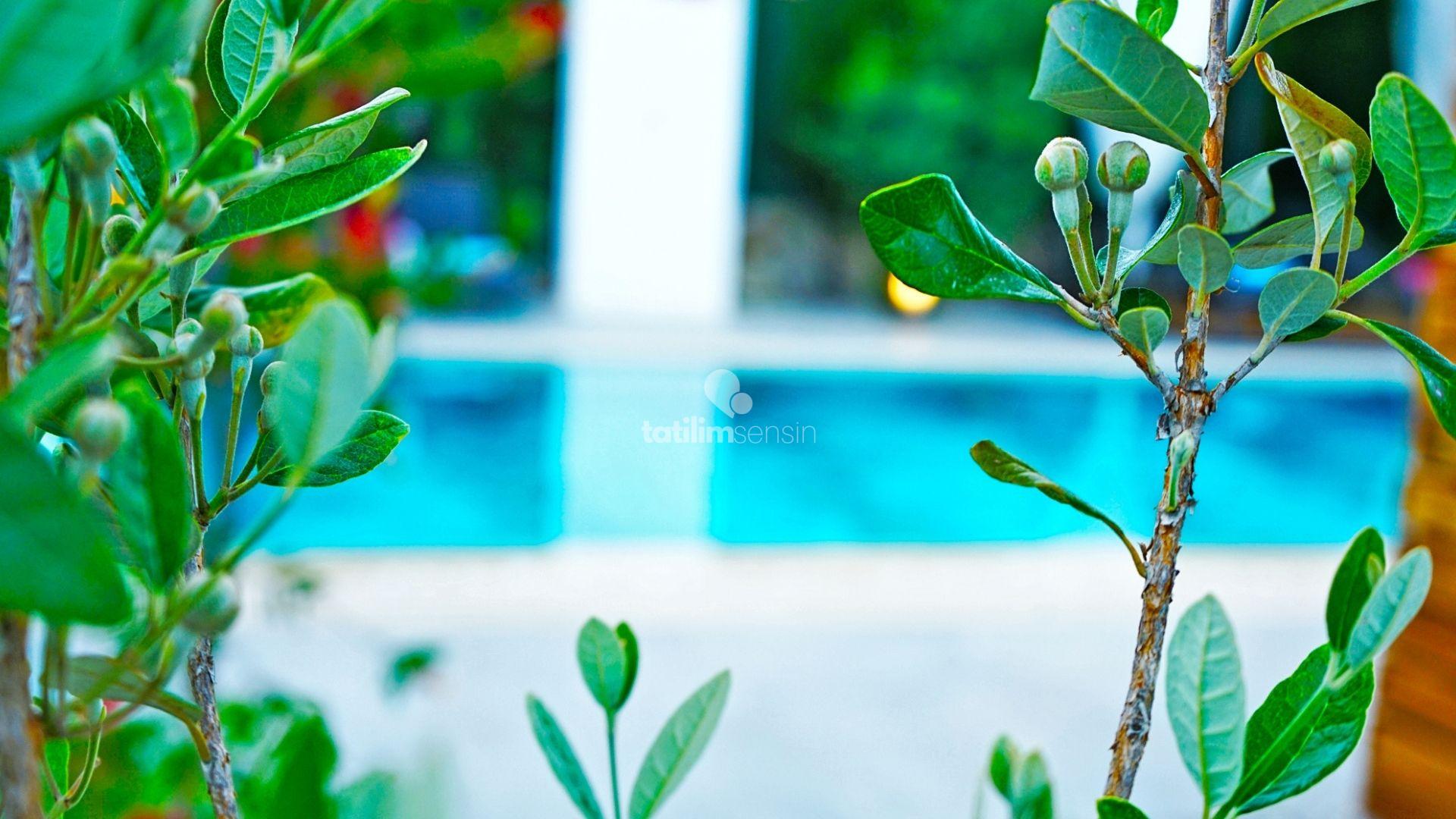 Fethiye Mamon Luxury Life Villa - 8