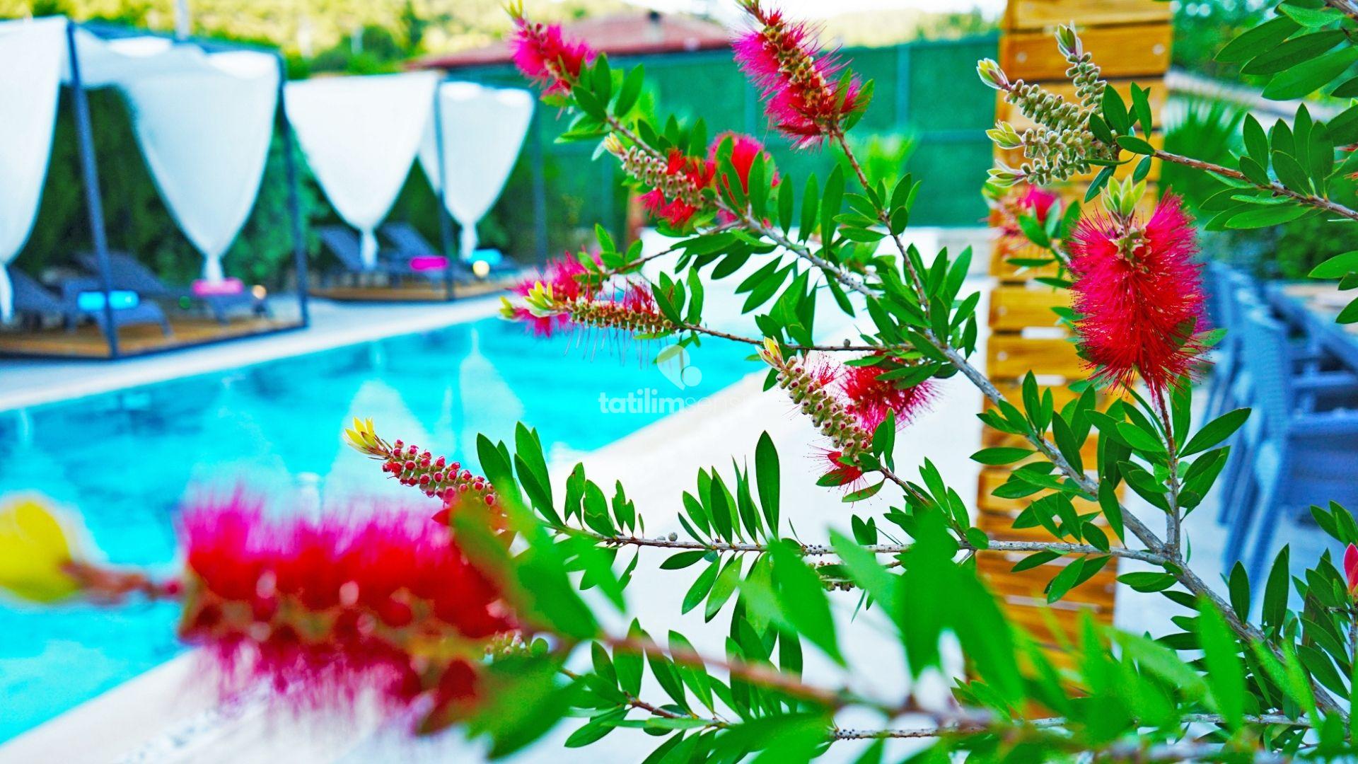 Fethiye Mamon Luxury Life Villa - 19