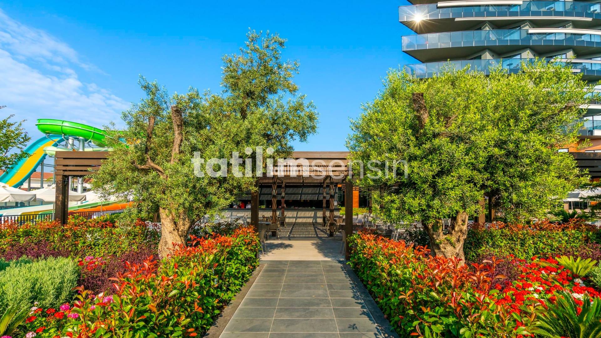 Calyptus Kirman Premium - 3