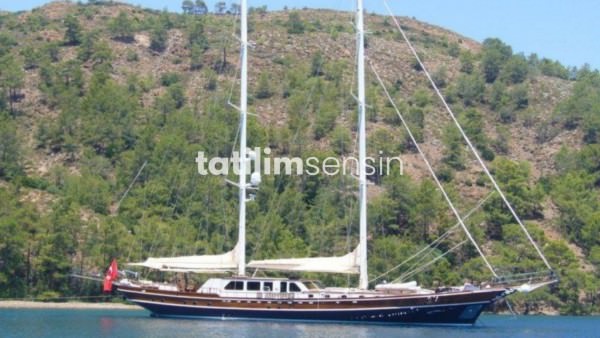 Bodrum'da Gulet Kaya Güneri 5