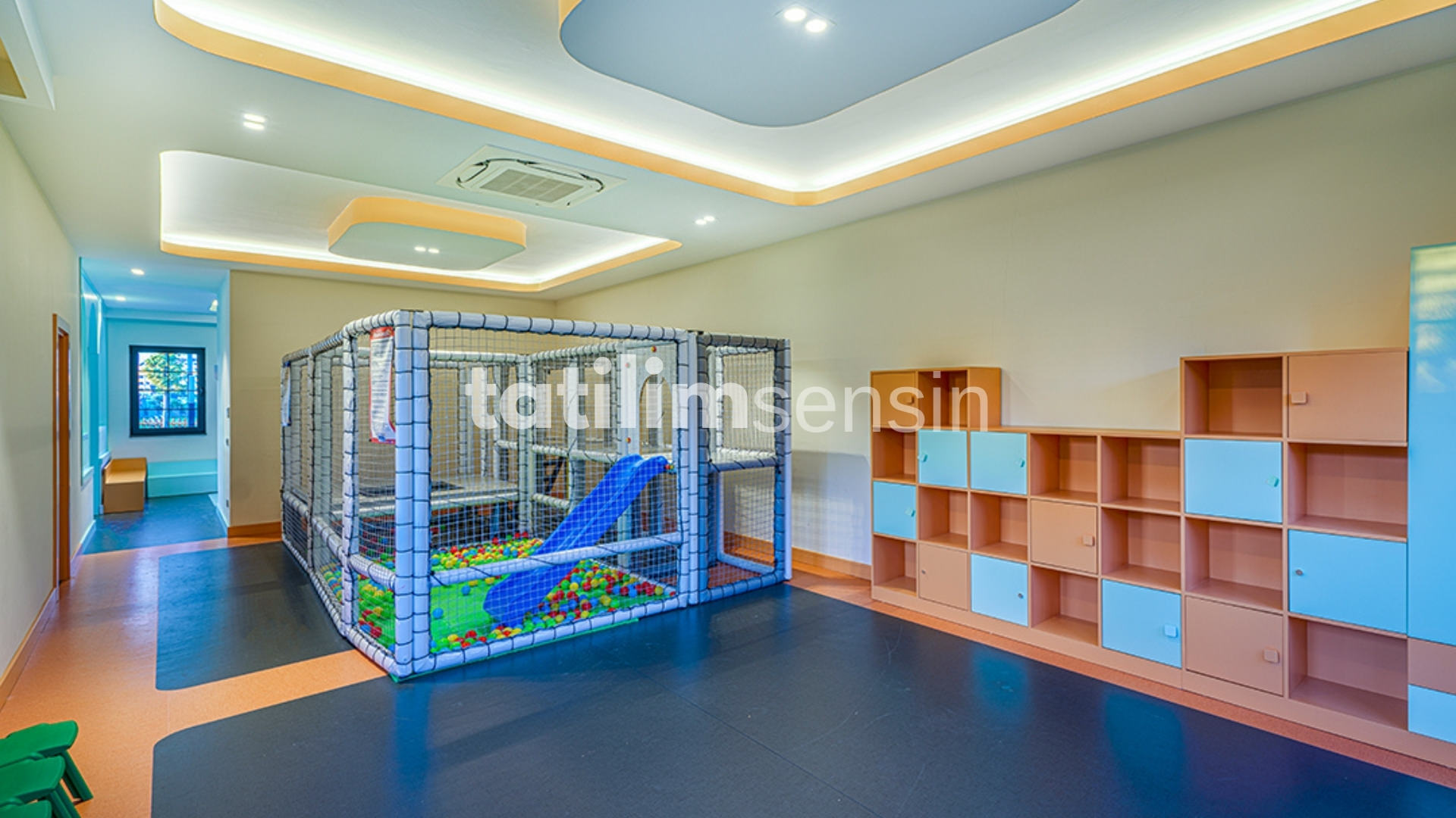 Calyptus Kirman Premium - 22