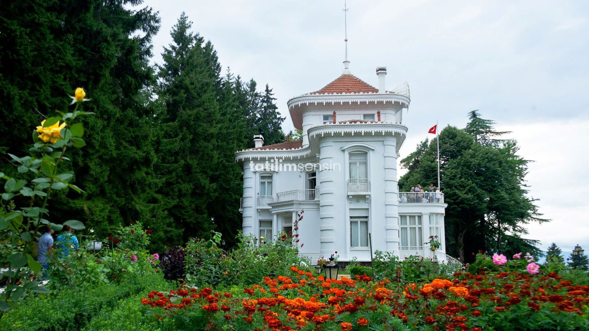 Karadeniz Rüzgarı Ve Batum Turu (İstanbul Otobüs Hareketli) - 8