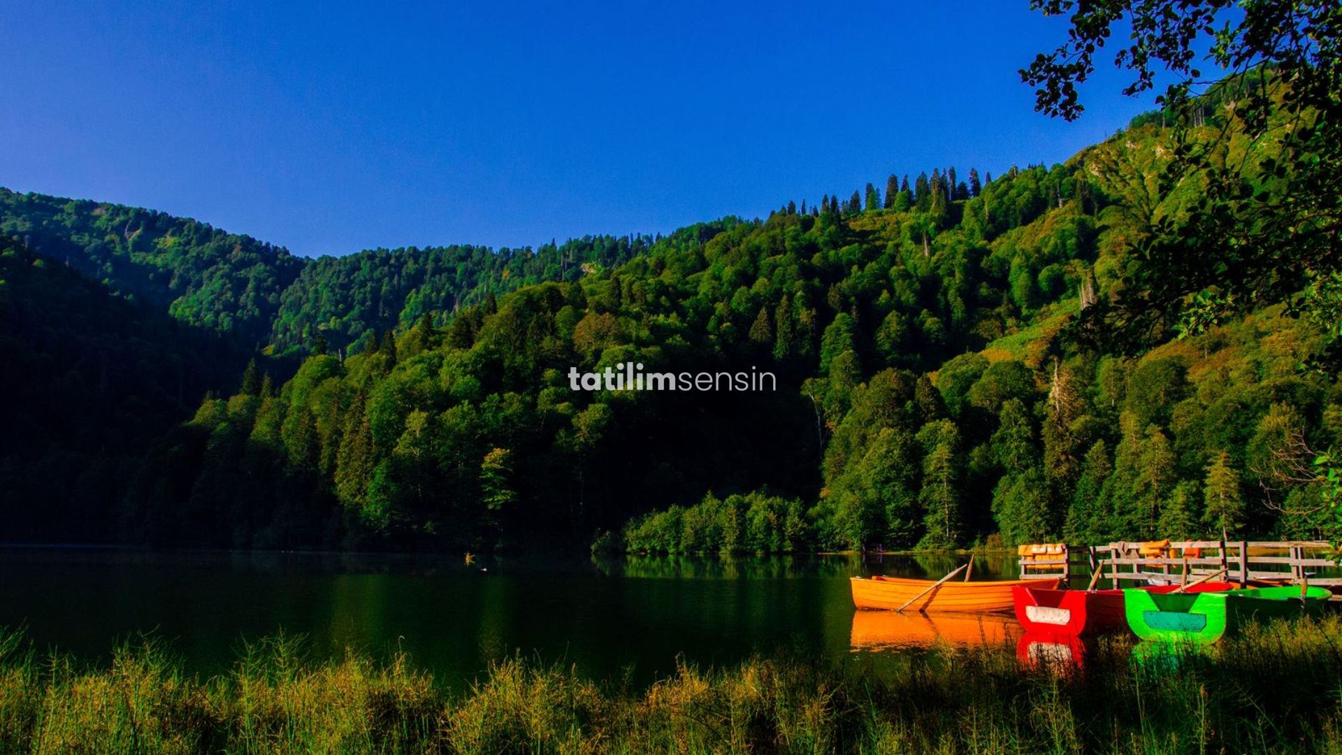 Karadeniz Rüzgarı Ve Batum Turu (İstanbul Otobüs Hareketli) - 2