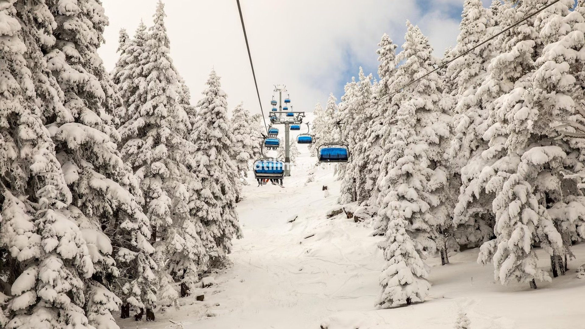 Kaya Uludağ Kayak Oteli - 5