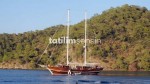 Fotoğraf Galerisi