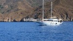 Fotoğraf Galerisi