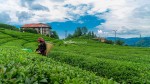 Fotoğraf Galerisi