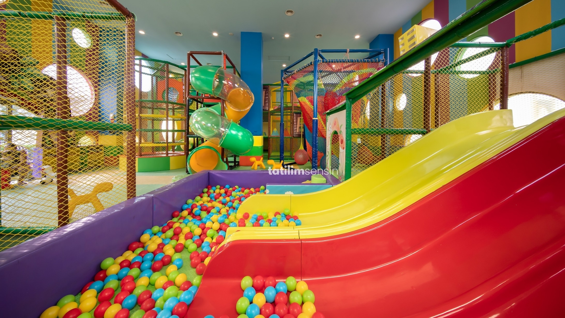 Elexus Hotel Resort Spa