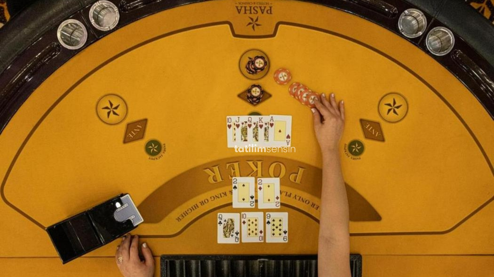 Grand Pasha Nicosia Hotel Spa