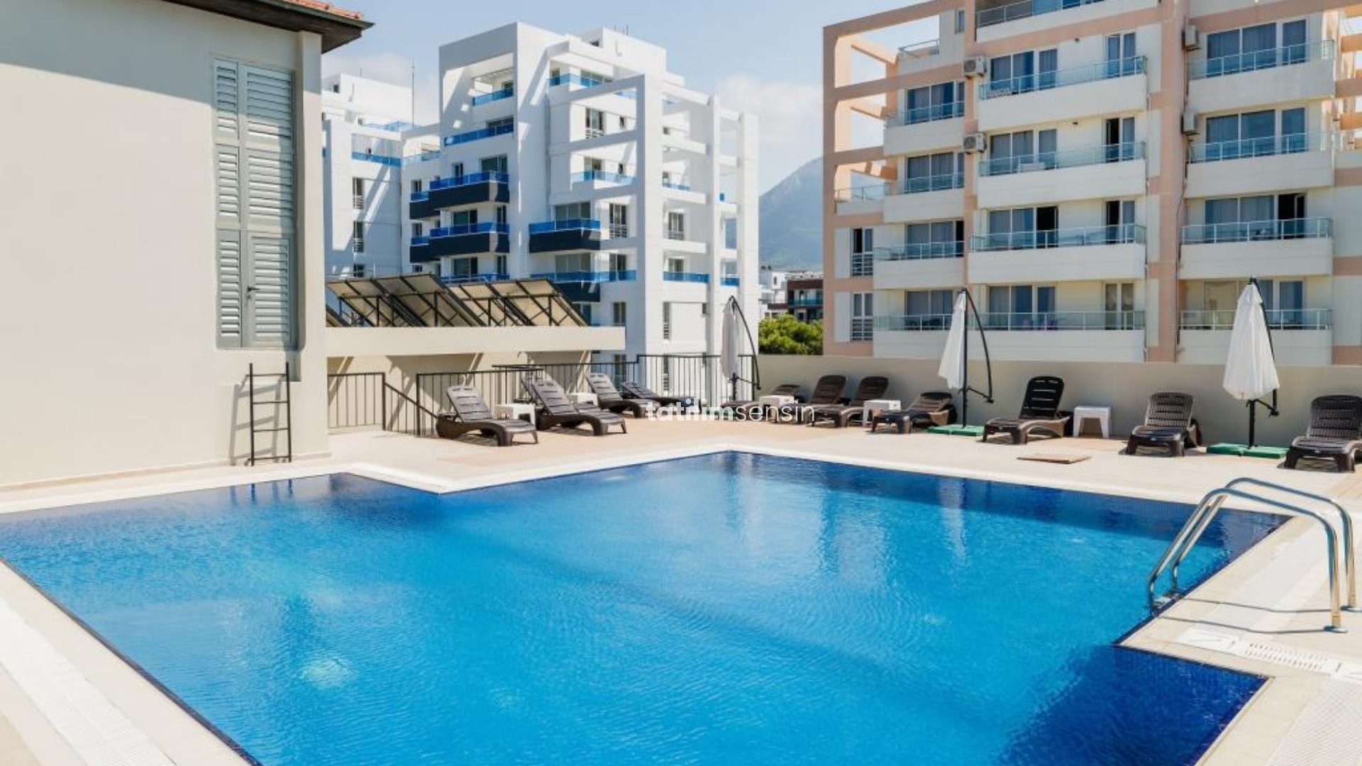 Olivia Palm Boutique Hotel