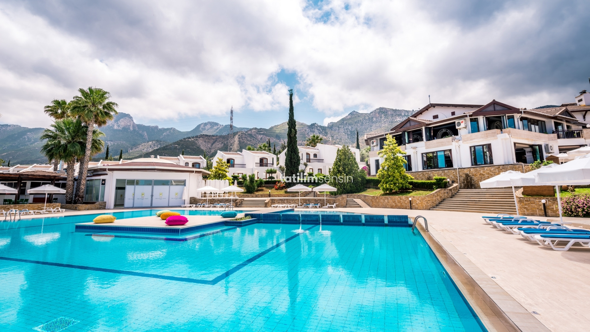 The Hotel Olive Tree