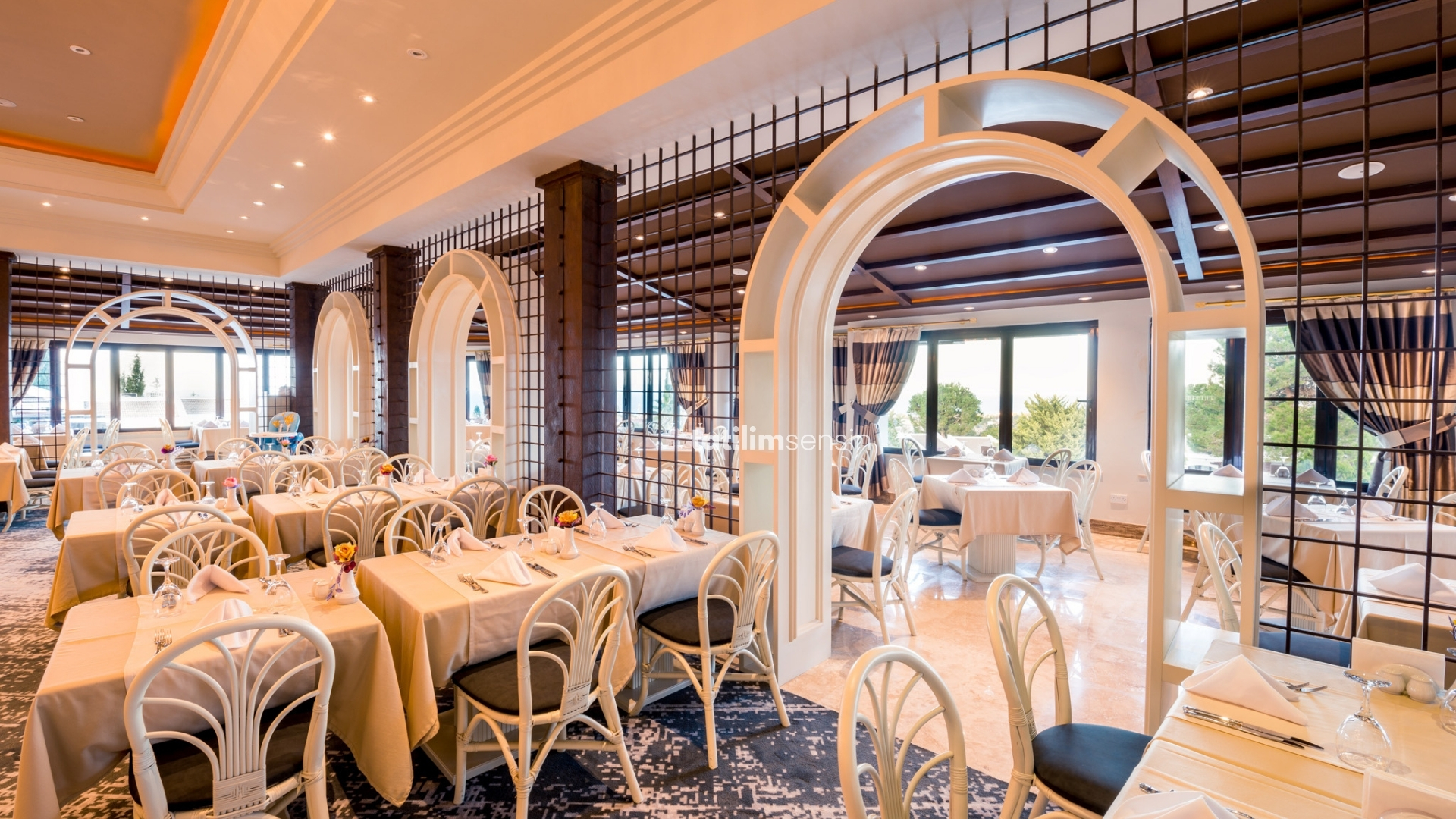 The Hotel Olive Tree