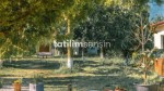 Fotoğraf Galerisi