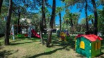 Fotoğraf Galerisi