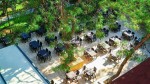 Fotoğraf Galerisi