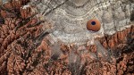 Fotoğraf Galerisi